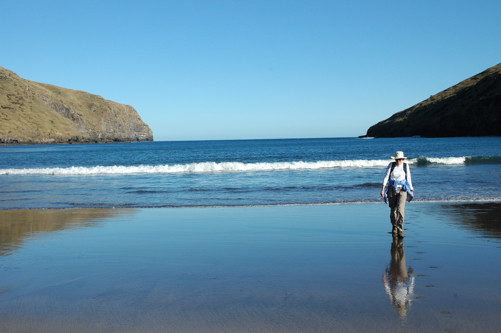 Hinewai -- Otanerito Bay