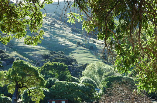 Parakakariki Headland