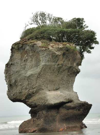 Motukiekie Rocks -- A Natural Bust