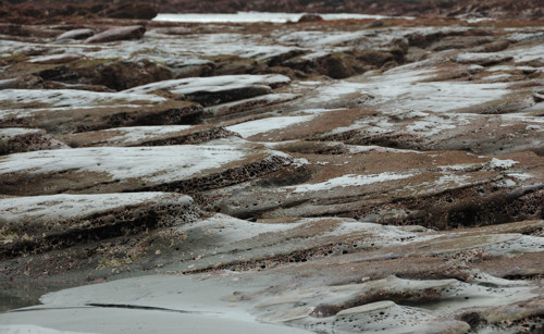 Beach near Motukiekie Rocks