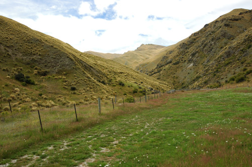 Along the Crown Ridge Road