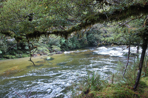 Clinton River upstream
