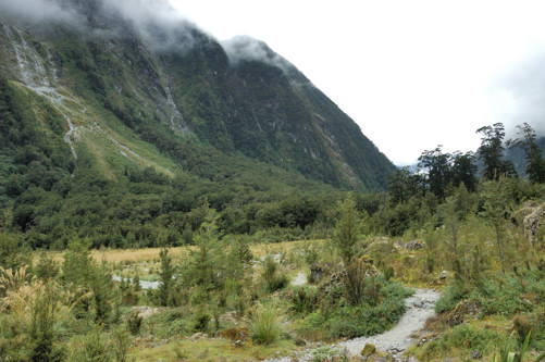 Avalanche devastation