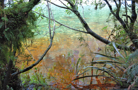 Tannin filled creek enters the Clinton River