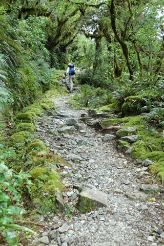 First switchback on Mackinnon Pass