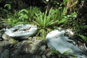 Helicopters bring in these bags of gravel