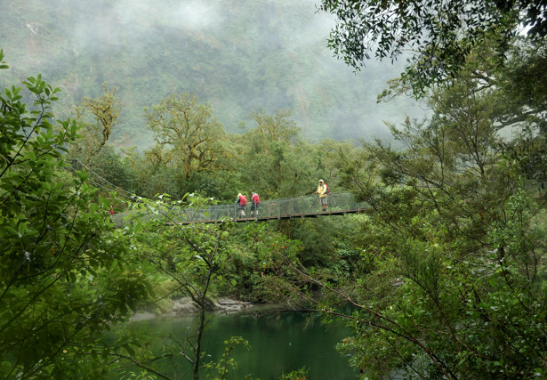 Suspension bridge over the Arthur River