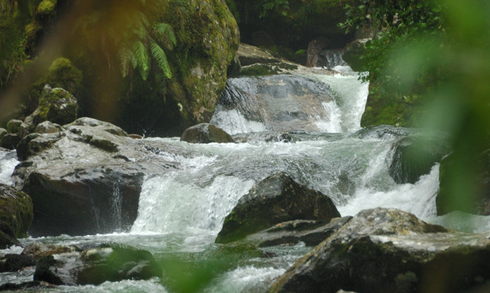 Creeks flowing nicely