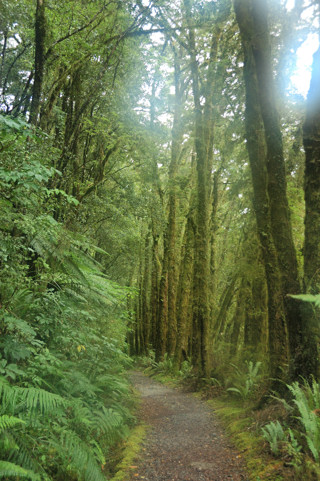 Final mile of the track