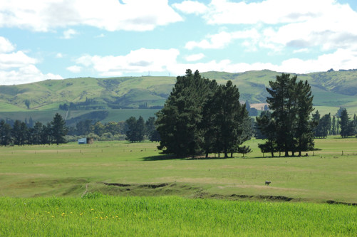 Fertile land near Gore