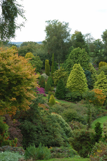 Opening into longer vistas