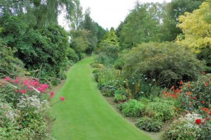 Flower-bordered paths