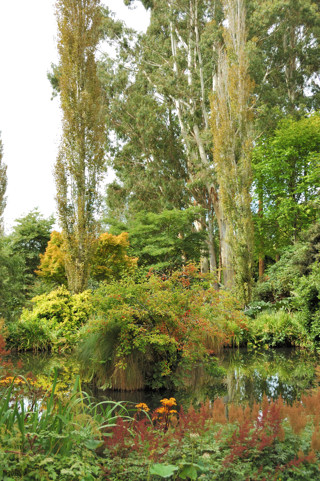 Small pond with marshy edges