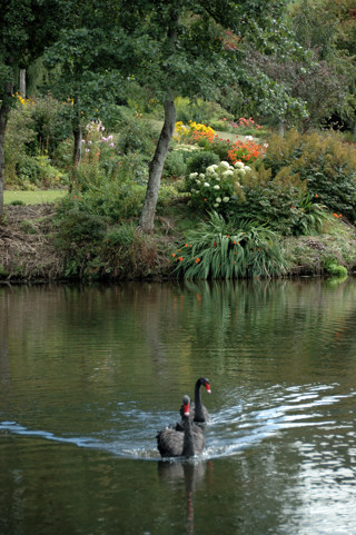 making straight for us