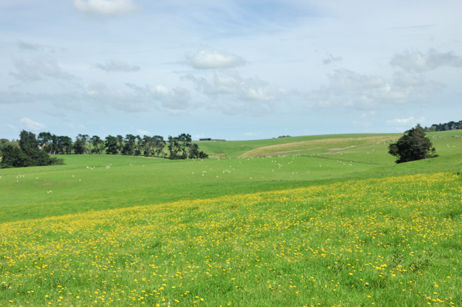 Rolling hills across the Matuara River