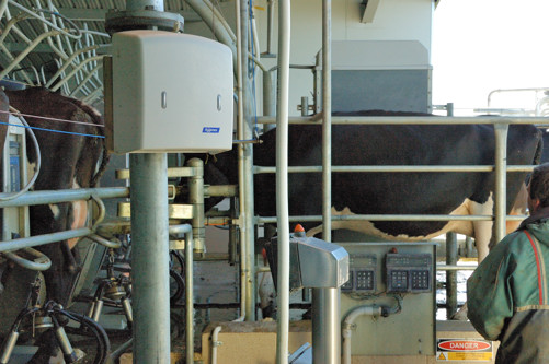 Milking merry go round