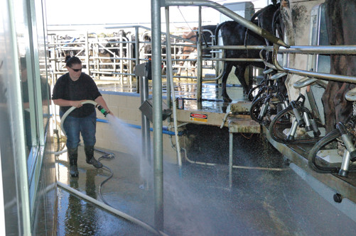 Cleaning is a constant job