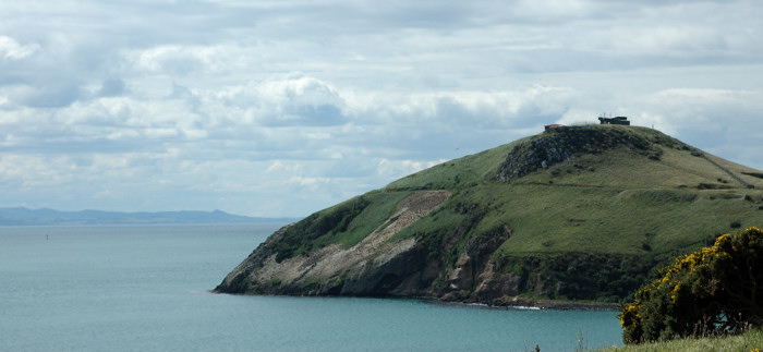 Otago Peninsula headland