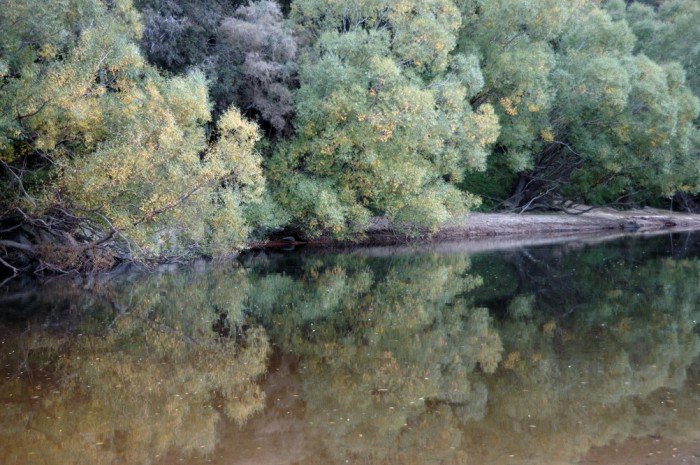 Pool of the Taieri River