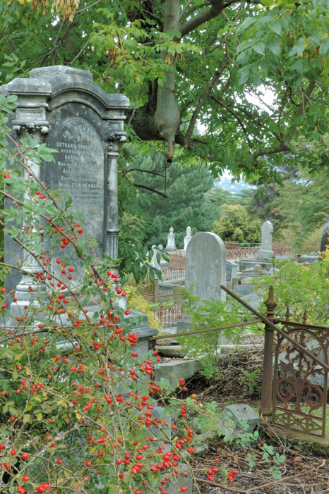 Graveyard in Dunedin