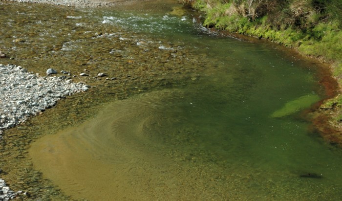 Pool in the Kyeburn River