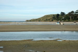 Waikouati River, Karitane