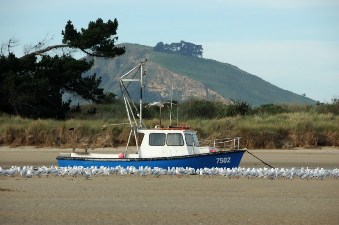 Scene on the Waikouati River