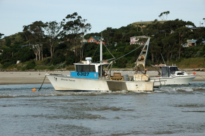 Tide flowing into the Waikouati River