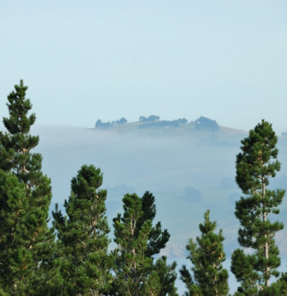 Fog over Blueskin Bay