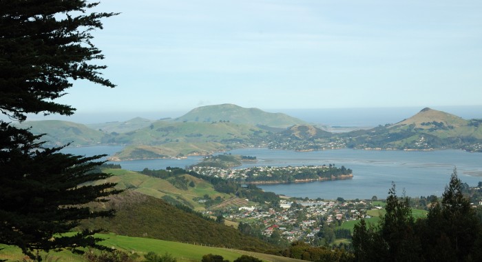 View over Otago Harbor at Port Chalmers