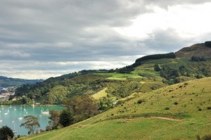Harbor and hillside from Mike & Liz's