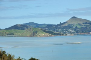 Otago Harbor from Mike & Liz's