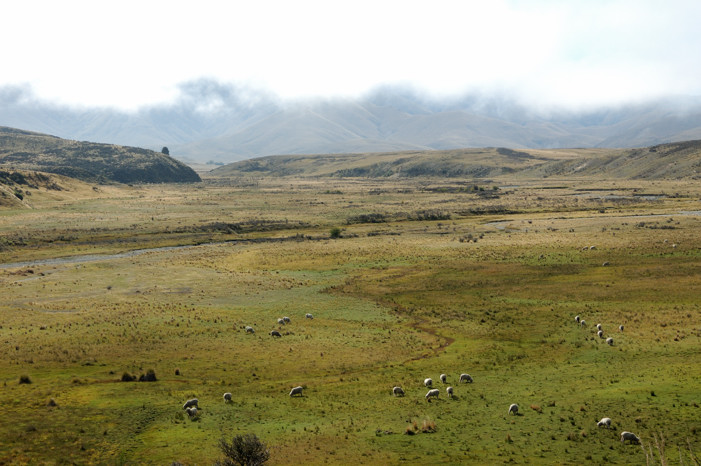 Vista on the Otago Rail Trail
