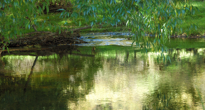 River along the Otago Rail Trail