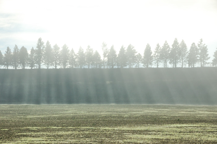 Morning mist on the road to Naseby