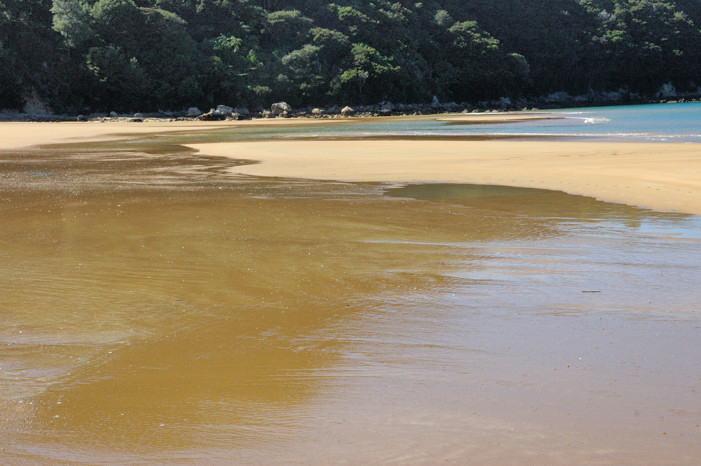 Open beach at low tide