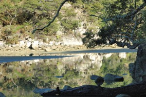 Bark Bay, Abel Tasman Park
